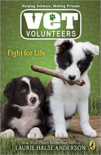 Vet Volunteers series