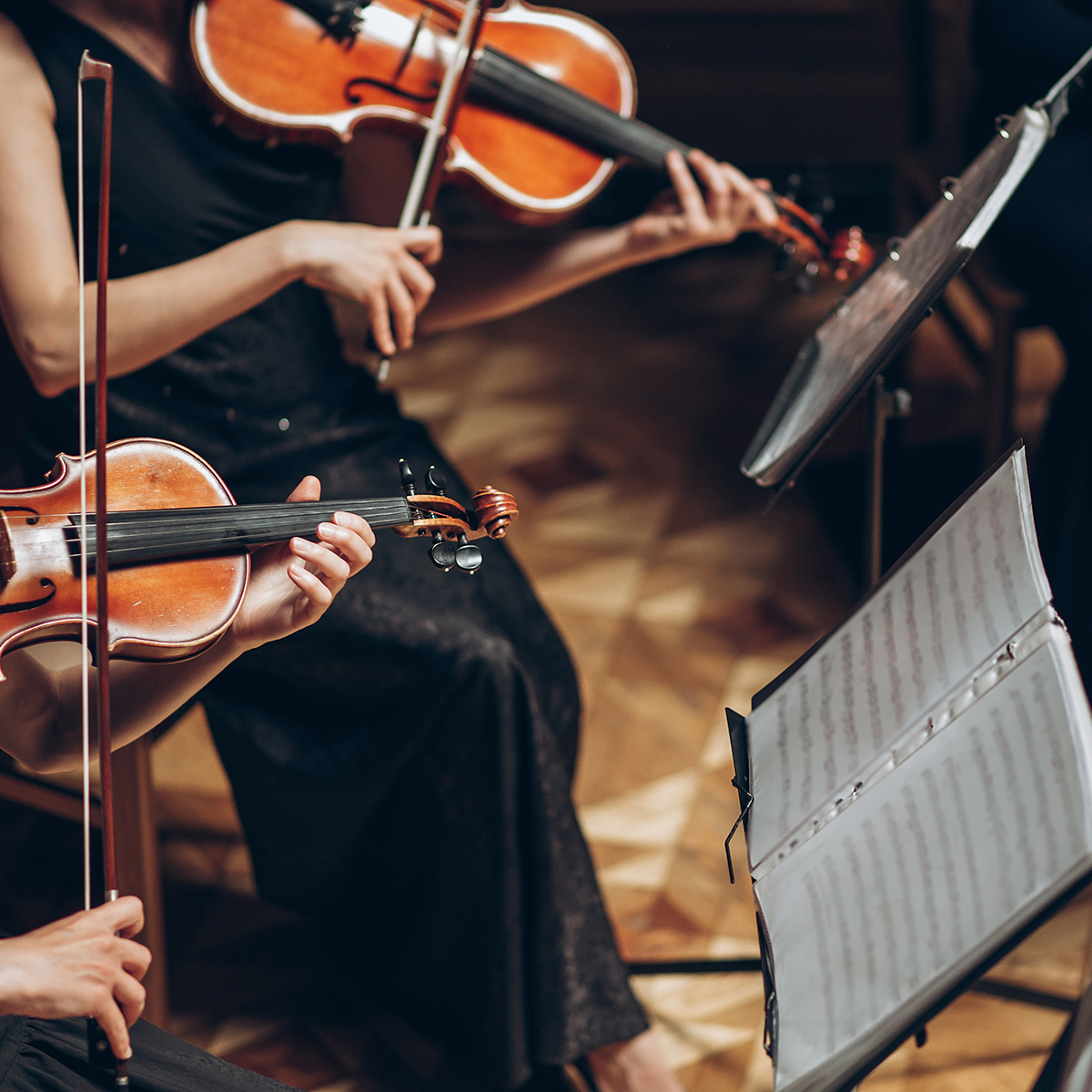 The Quartet Experience with the Princeton University Summer Concert Group