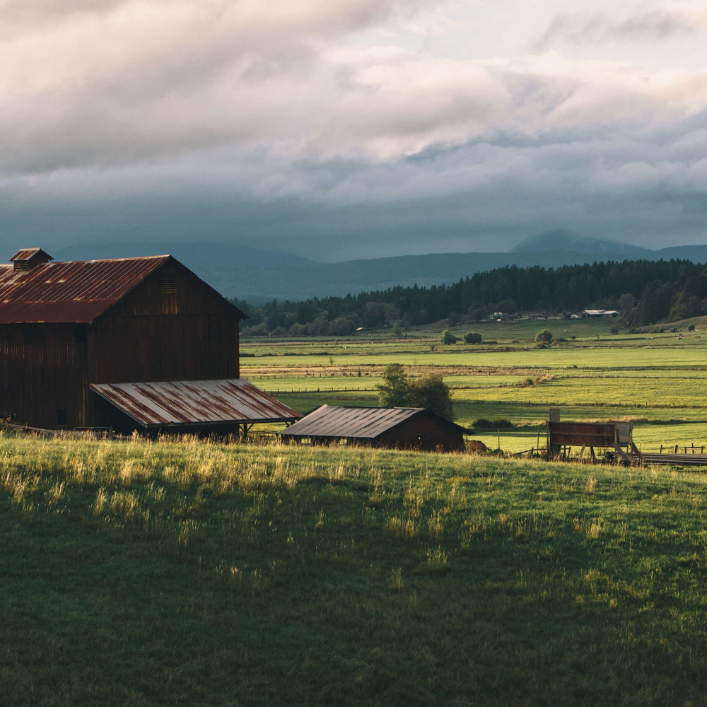 Live From Vancouver: Olich Creek Farm