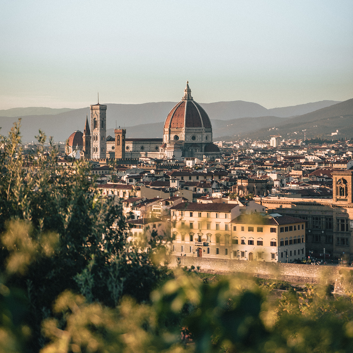 Live From Italy: The Art and Architecture of Florence