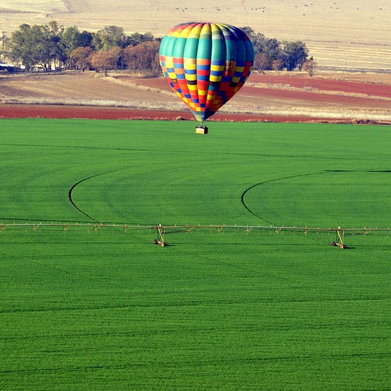hot-air-balloon-field-1200wSq