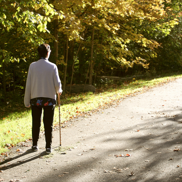 Elderly With Cane